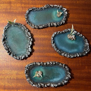 May include: Four small, oval-shaped, decorative ponds made of resin with a rocky edge. Each pond has a small green plant growing in the centre.