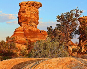 DIGITAL download - Canyonlands National Park Utah Needles District desert rock blue sky stark beautiful photo photography picture