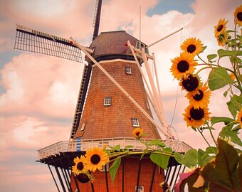 Holland of the Midwest - Photography Holland Michigan Windmill Island Macatawa De Zwaan windmill spring sunflowers photo picture