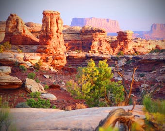 Rugged Canyonlands