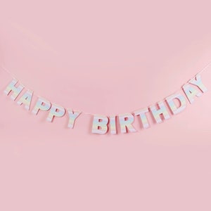 Pastel Party Pack Decorations Tableware Plates Cups Napkins Tablecover, Pastel Birthday, Colour Party, Pastel Decorations, Party Supplies Banner (1pk)