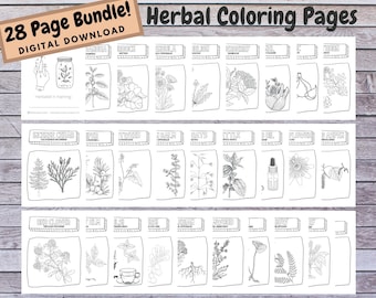 Puede incluir: Una descarga digital de 28 páginas para colorear de hierbas. Cada página presenta una hierba diferente con su nombre en un cuadro rectangular. Las páginas son dibujos lineales en blanco y negro, perfectos para colorear. Las palabras "28 Page Bundle! DIGITAL DOWNLOAD" están en la parte superior.