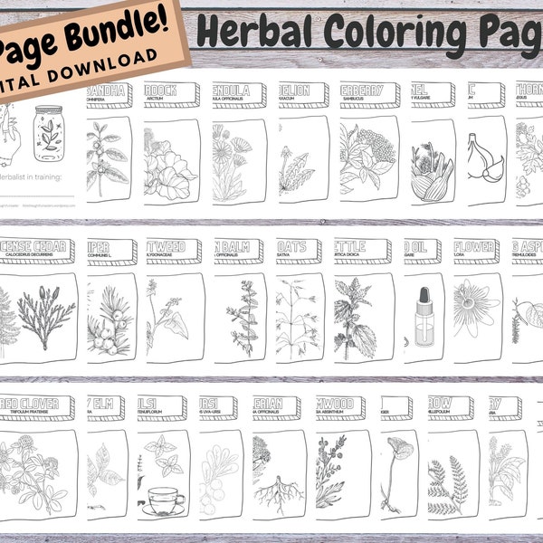 Herbal Coloring Pages ABC 28 Page Bundle - Digital Download - Printable