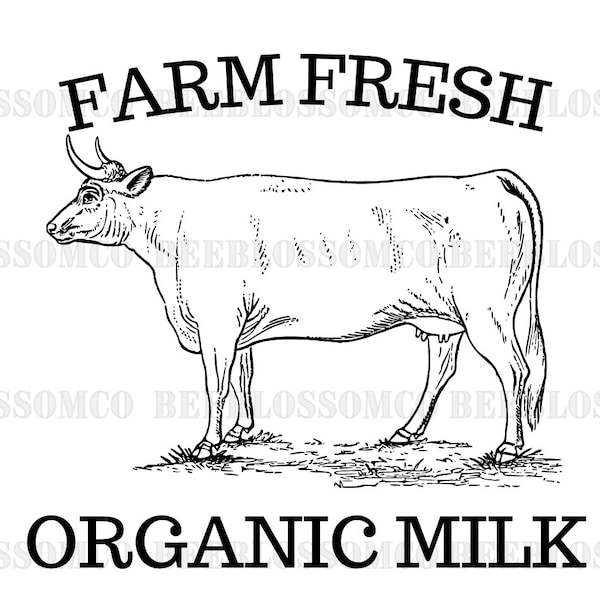 Fresh Milk - Etsy