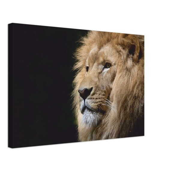Lion Picture Canvas Wall Art Home Decor Etsy