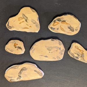 Handmade ceramic mosaic tile: ground cover rocks, boulders