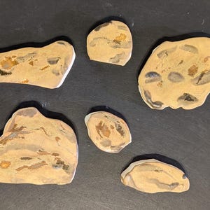 Handmade ceramic mosaic tile: ground cover rocks, boulders