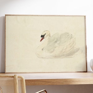 Impresión de acuarela de cisne antiguo, arte de pared de pájaro neutral, pintura minimalista imprimible, cartel de animales vintage, decoración del hogar victoriana, digital