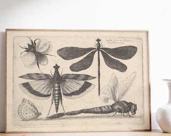Impresión de insectos antiguos, pintura de arte de biología, decoración del hogar de la granja, arte de la pared científica, arte natural de la libélula vintage, naturaleza muerta minimalista
