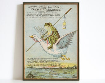 Flying Frog Wall Art, Vintage Funny Frog Poster, Cartoon Animal Illustration, Printable Bathroom Wall Decor, Retro Toad Print, Antique Print