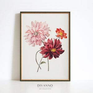 Arte da parete vintage dalie, stampe botaniche retrò, decorazione murale stampabile floreale, stampa artistica minimalista per la scuola materna, tela floreale, poster naturale