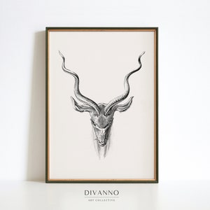 Pôster de antílope vintage, retrato de animal vitoriano, tela monocromática, arte contemporânea, decoração de cabana, arte de esboço minimalista, ideia de presente
