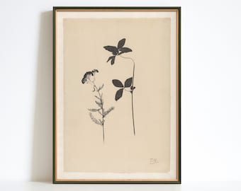Red Clover Botanical Print, Natural Wildflower Illustration
