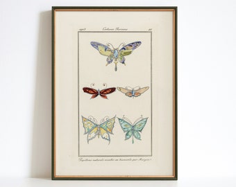Vintage vlinderkunstprint, art deco-stijl, kleurrijk wandcanvas