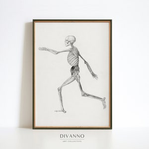 May include: A black and white anatomical illustration of a human skeleton in a running pose. The image is framed in a dark green frame with a light wood inner border. The text "DIVANNO ART COLLECTIVE" is printed below the image.