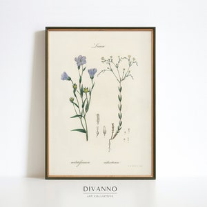 Antike Kräuter Wand Kunst, Blauer Flachs Druck, Botanisches Vintage Poster, Blumendekor, Garten Druck, Wildblumen Kunst Geschenk, Botanik Kunst, Leinsamen Kunst