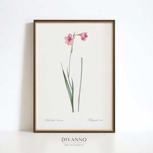 Antike rosa Lilie Poster, Natur-Kunst-Dekor, Blumen-Wand-Kunst, Sommer-Garten-Leinwand, Waldblumen-Kunst-Dekor, Vintage Schule botanischer Druck