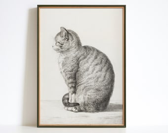Vintage Jean Bernard Cat Print, Monochrome Sketch Art