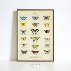 Impresión de gráfico de mariposas antiguas, mariposa Art Deco de Ernst Fröhlich, decoración del hogar de entomología vintage, arte de pared de página de libro, arte digital