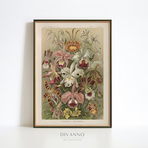 Poster dell'orchidea vintage, Ernst Haeckel Giclee Print, Exotic Plant Wall Art, Flowers Canvas Decor, Kunstformen der Natur Printable, Gift Idea