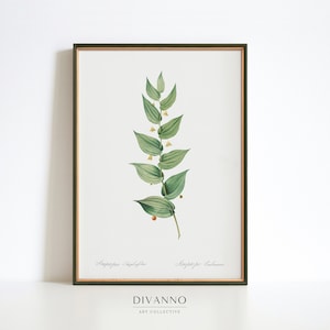 Tuin print, antieke lelie kunst aan de muur, botanische poster, boerderij bloemen decor, groen gebladerte kunst, plant grafiek, Wildflower canvas, kunst cadeau,