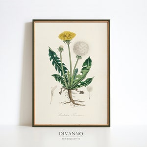 Impresión de diente de león vintage, decoración de hierbas antiguas, cartel botánico, arte de pared floral, impresión de arte de jardín, impresión de arte de flores, decoración de botánica médica