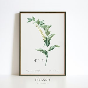 Impressão de flores silvestres, arte antiga de parede de lírio selvagem, pôster botânico, decoração floral de fazenda, gráfico de arte de flores, tela de folhagem de jardim, presente de impressão