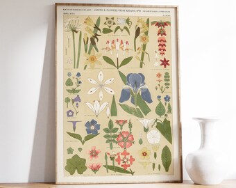 Blumensammlung Druck, Vintage botanische Kunst, Blumenmalerei, Wohnkultur, viktorianische Wandkunst, Pflanzenmuster Poster, Wildblumen printable