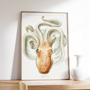Impresión de pulpo antiguo, arte de la pared del océano, cartel de peces de aguas profundas, pintura marina, decoración del hogar náutico, dibujo de animales, idea de regalo de la naturaleza, digital