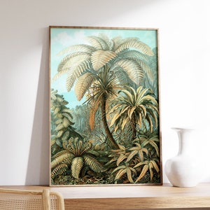 Cartel de la selva vintage, impresión de la naturaleza de Ernst Haeckel, decoración del hogar botánico, arte de la pared exótica, ilustración tropical, lienzo del bosque, imprimible