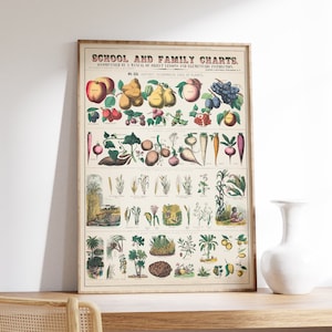 Vintage Groenten Grafiek, Educatieve Botanische Print, Voedsel Poster, Retro Illustratie Wall Art, Home School Decor, Nature Classroom Decor