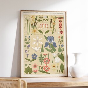 Floral Collection Print, Vintage Botanical Art, Flower Painting, Home Decor, Victorian Wall Art, Plant Pattern Poster, Wildflowers Printable