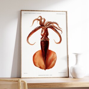 Impresión de calamar vintage, pintura de animales, decoración náutica del hogar, arte de la pared del océano, cartel marino, arte de la naturaleza, dibujo de vida de coral, imprimible digital