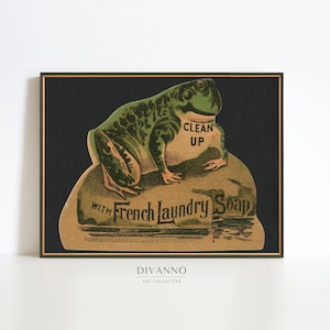 Impresión retro de Frog Giclee, cartel de animales vintage, decoración de pared de baño antiguo, arte de pared imprimible de lavandería francesa, lienzo de arte de sapo divertido