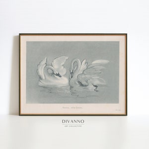 Impresión vintage de cisnes de lago, arte rústico de la pared del boceto del cisne, imprimible del vivero antiguo, decoración del vivero neutral, lienzo del cartel del pájaro, inauguración de la casa