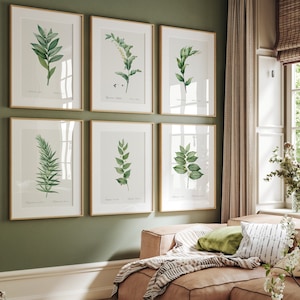 Set of 6 Botanical Prints, Minimalist Fern Posters, Vintage Wildflowers Gallery Modern Flower Gift Print, Floral Wall Art, Farmhouse Decor