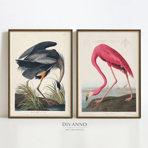 Juego de 2 impresiones de pájaros de América, decoración del hogar de James Audubon, galería de flamenco rosa antiguo, garza azul imprimible, idea de regalo de arte de pared de vida silvestre