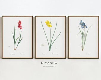 Botanical Iris Flower Print Set, Vintage Floral Green Drawing