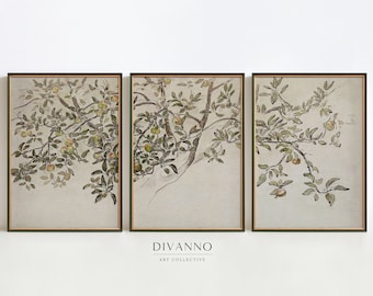 Vintage Apple Tree Branch Set of 3 Prints, Rustic Home Decor, Split Wall Prints, Farmhouse Decor, Botanical Printable Wall Art, Art Sketch