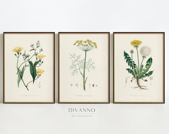 Antique Herbs Set of 3 Posters, Garden Art Print, Vintage Botanical Gallery Wall,  Kitchen Decor, Flower Chart, Wildflower Canvas, Art Gift