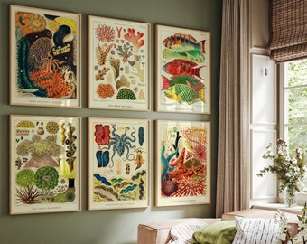 Coral Reef Set of 6 Prints, Colorful Sea Fish, Classroom Decor, Educational Wall Art, Summer Ocean Gallery, Botanical Algae Poster, Digital