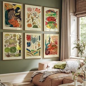Conjunto de arrecifes de coral de 6 grabados, peces marinos coloridos, decoración del aula, arte educativo de la pared, galería oceánica de verano, cartel de algas botánicas, digital