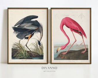 Audubon Vogeldrucke-Set: Flamingo & Reiher, Wildtierkunst