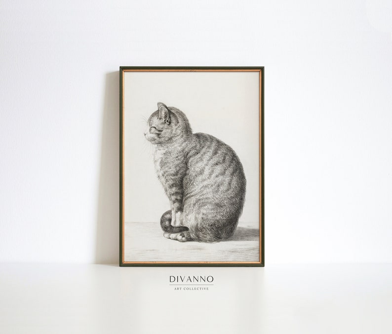 May include: A black and white illustration of a cat sitting with its tail curled around its paws. The cat is looking to the left of the image. The illustration is framed in a dark green frame with a gold inner border. The text "DIVANNO ART COLLECTIVE" is printed below the image.