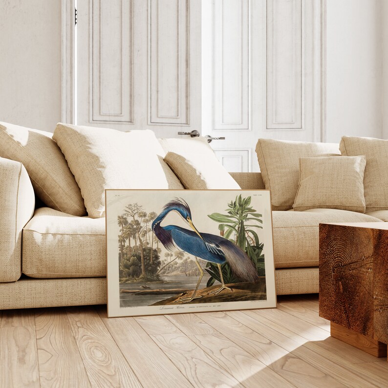 K&ouml;nnte beinhalten: Eine Vintage-Illustration eines blauen Reihers, der auf einem Ast in einer sumpfigen Umgebung steht. Der Vogel hat einen langen Hals und Schnabel, und seine Federn sind in einem leuchtenden Blau gehalten. Die Illustration ist von einem wei&szlig;en Rahmen umgeben und tr&auml;gt einen Titel am unteren Rand.
