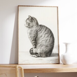 May include: A black and white illustration of a tabby cat sitting with its tail curled around its paws. The cat is looking to the left of the image.