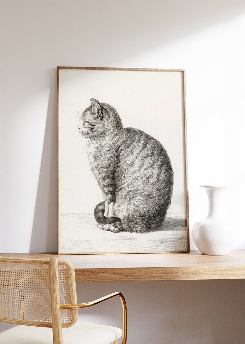 May include: A black and white illustration of a tabby cat sitting with its tail curled around its paws. The cat is looking to the left of the image.