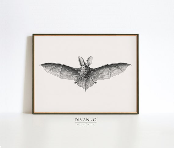 Antique Animal Art Print, Retro Halloween, Minimalist Bat Printable, Spooky Sketch Wall Decor, Moody Poster, Vintage Digital Art, Art Gift