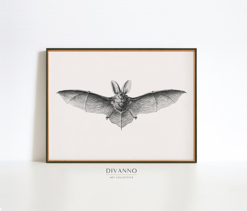 May include: Black and white illustration of a bat with its wings spread wide. The image is on a cream background with the text "DIVANNO ART COLLECTIVE" at the bottom.