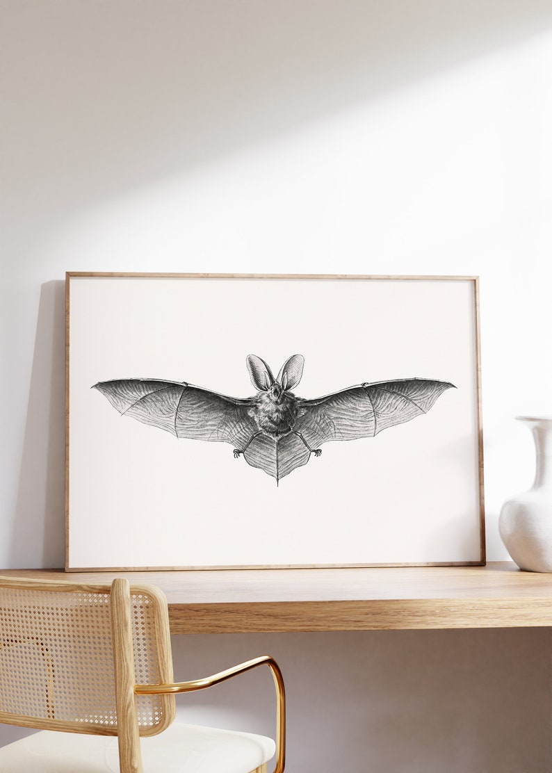 May include: A black and white illustration of a bat with its wings spread wide. The bat is in flight and its head is facing forward. The illustration is framed in a light wood frame and is hanging on a white wall.